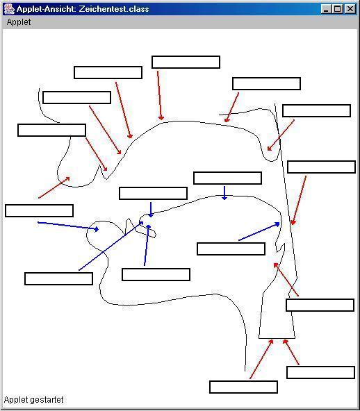 Postalveolar